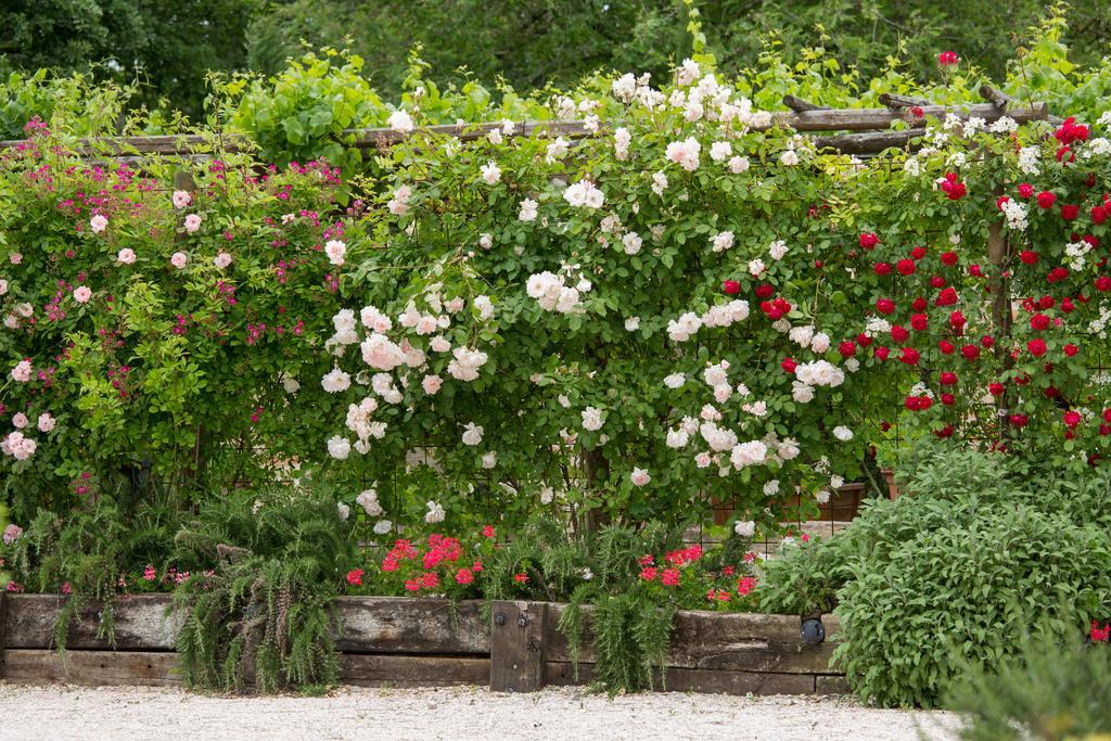 بيرتينورو Ca'Bevilacqua Bed&Breakfast المظهر الخارجي الصورة